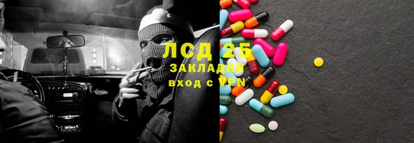прущие грибы Абаза