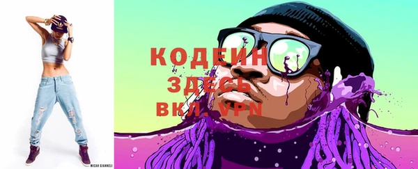 прущие грибы Абаза