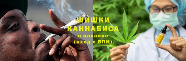 прущие грибы Абаза