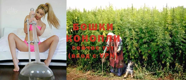 прущие грибы Абаза