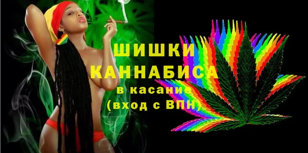 прущие грибы Абаза