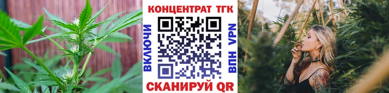 ТГК Wax  Канск 