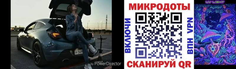 Псилоцибиновые грибы Cubensis Канск