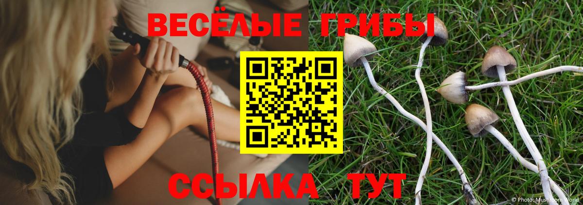 Канск  Галлюциногенные грибы прущие грибы  Вход с VPN 