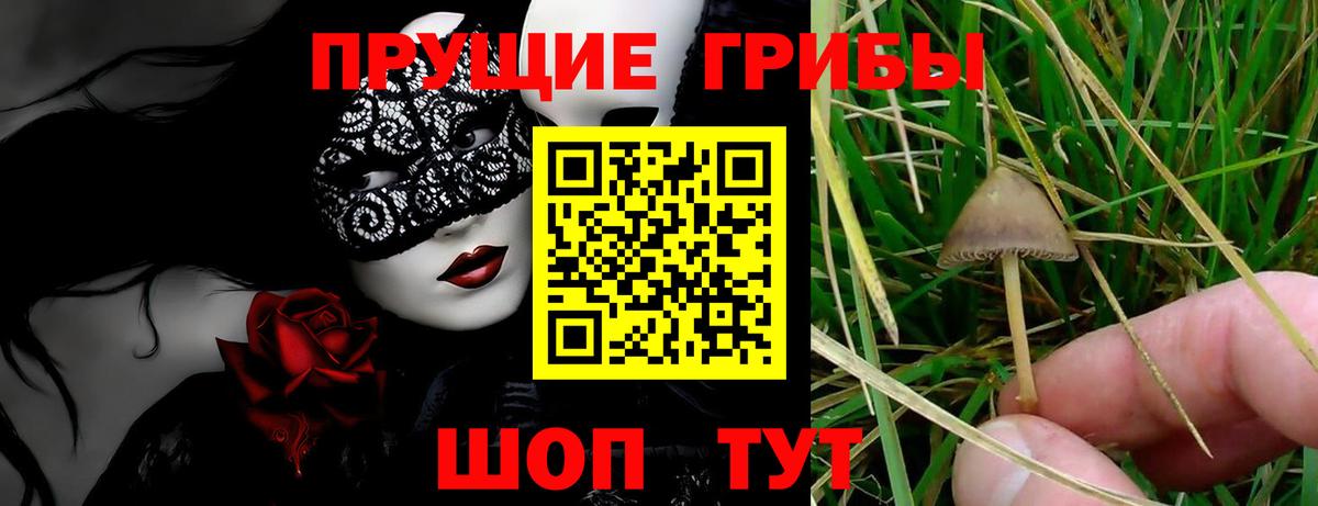 Галлюциногенные грибы мухоморы Канск